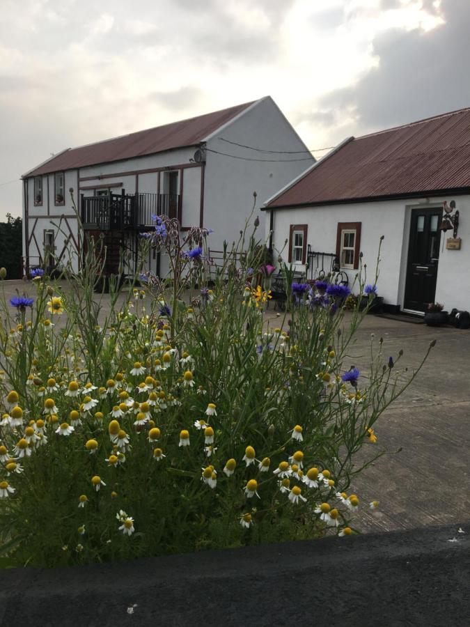 Granda Pat'S Loft Apartment Crossmaglen Екстериор снимка